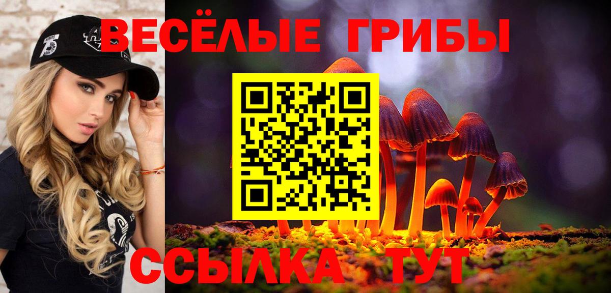 Выкса  Конопля  Лсд 25  Вход с VPN  ГАШ  ГАШ  COCAIN  Альфа ПВП СОЛЬ кристаллы  МДМА  МЕФ  