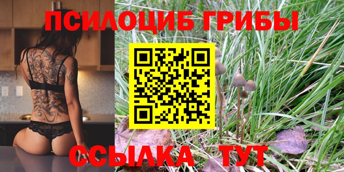 Галлюциногенные грибы Cubensis  Вход с VPN  Выкса 